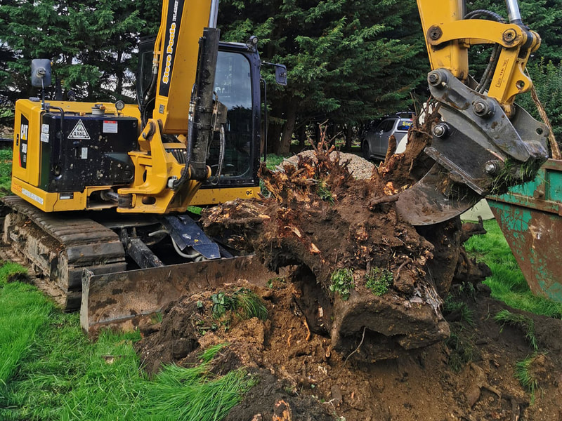 Midi excavator ripper tooth removing tree stumps